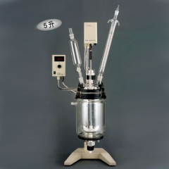 上海亞榮RV-605真空反應器 5升 電子調速、轉速數顯